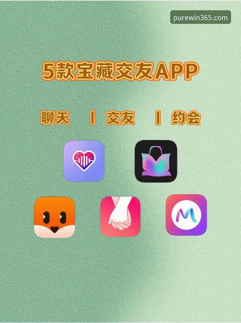 完美体育365WM app深度评测：新手入门到高效体验的全流程解析